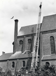 406502 Afbeelding van persfotograaf L.H. Hofland die de ladder van een brandweerauto beklimt om het ooievaarsnest te ...